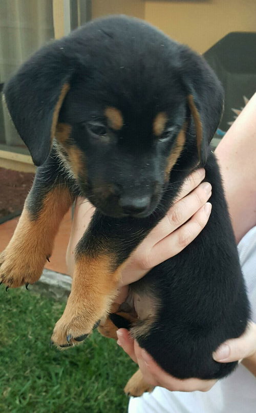 Monty