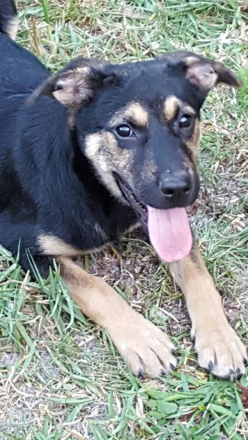 Mateo
