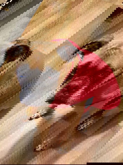 Rosie