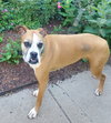Russell - Photo 2