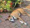 Russell - Photo 4
