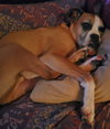 Russell - Photo 6