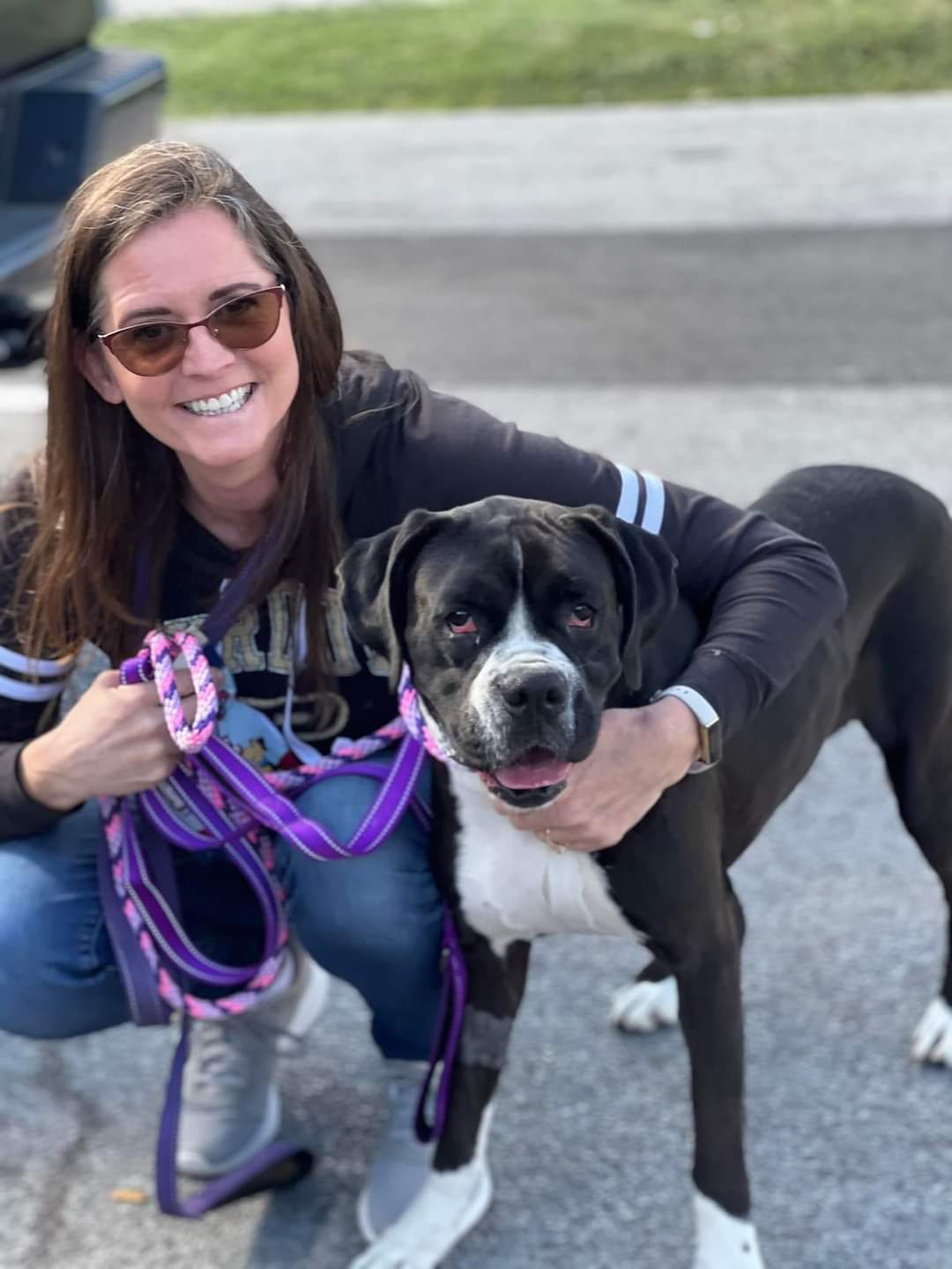 Sabrina | Across America Boxer Rescue