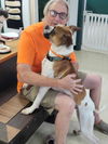 Gus - FOSTER OR ADOPT ME!!