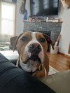 Johnny - Photo 3