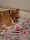 Johnny - Photo 5