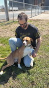 Johnny - FOSTER OR ADOPT ME!! - Photo 5