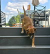 June - Photo 6