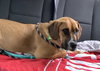 June - Photo 7