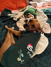 Sissy - ADOPTION PENDING!! - Photo 4