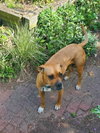 Sissy - Photo 5