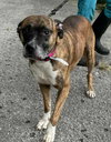 Lenny - Photo 6
