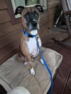 Lenny - Photo 5