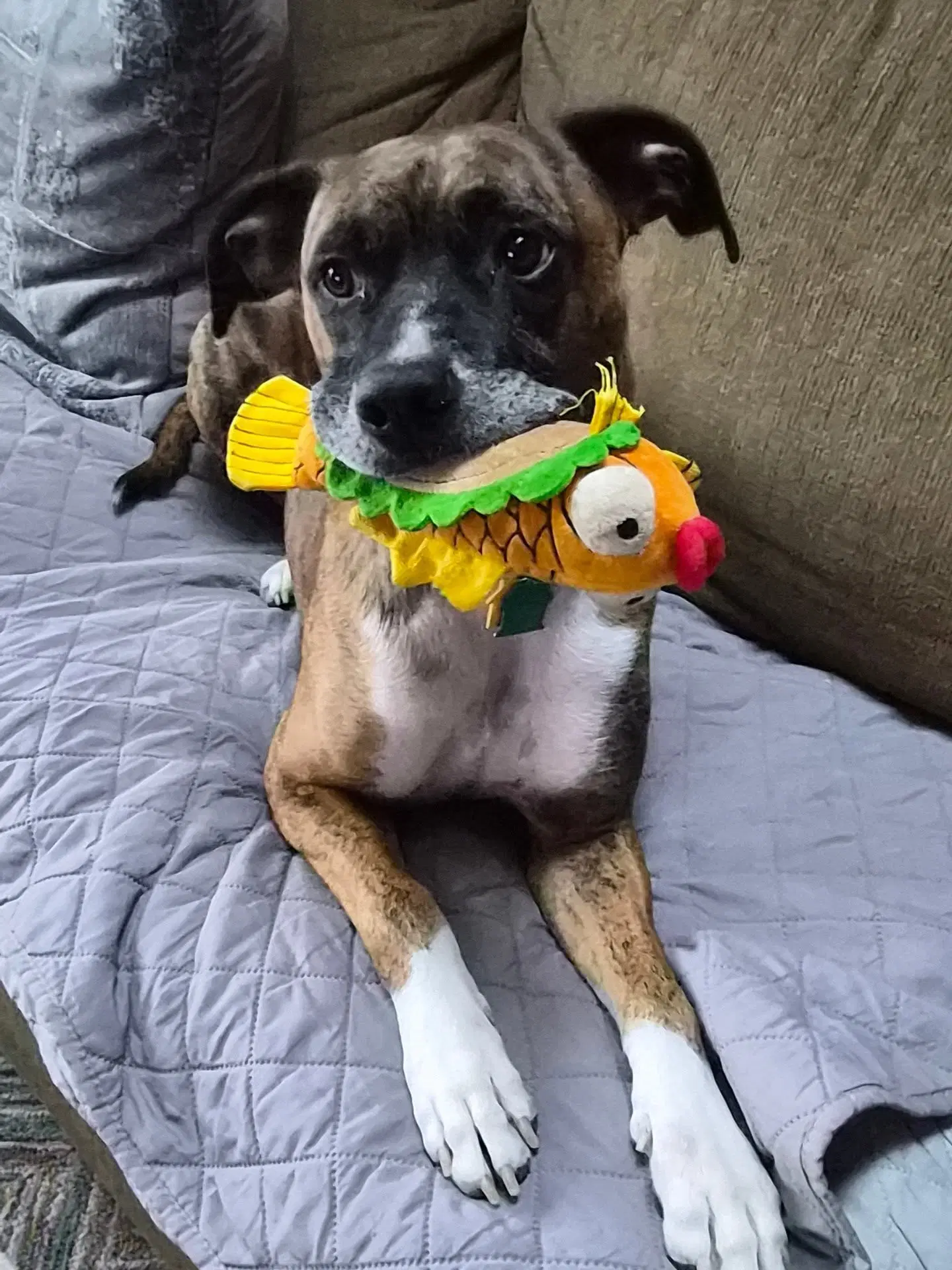 Lenny image 4