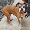 Edgar - ADOPTION PENDING!! - Photo 4