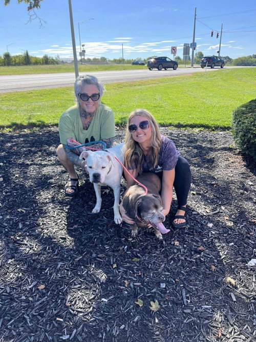 Lady aka Ladybug - BONDED WITH LEO!!, photo 16