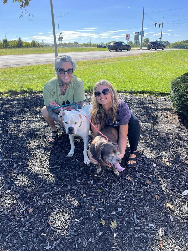 Lady aka Ladybug - BONDED WITH LEO!!