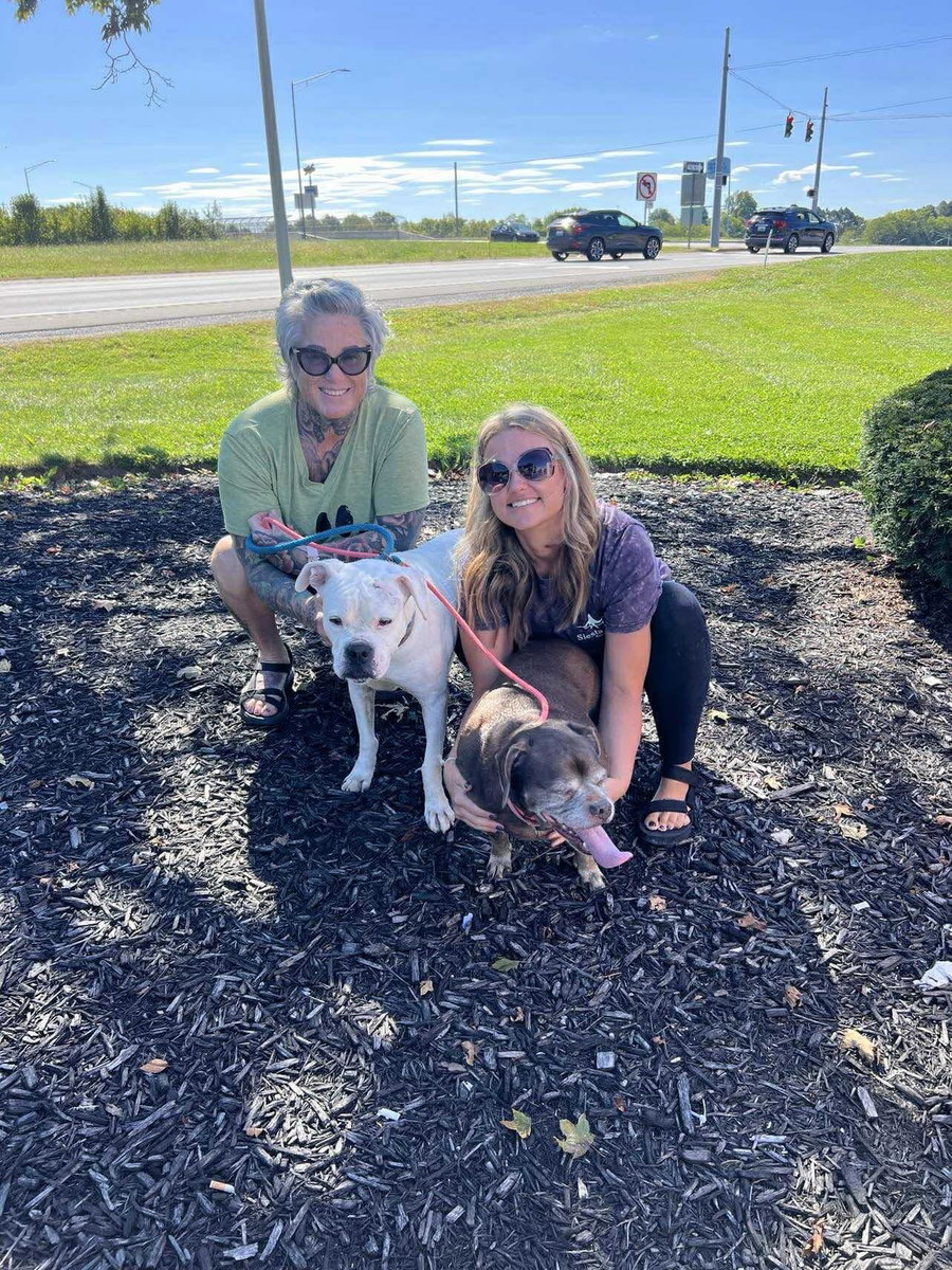 Lady aka Ladybug - BONDED WITH LEO!!