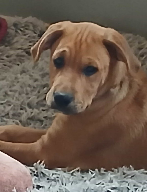 Theodore