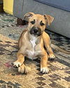 Lainey - Photo 3