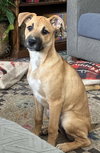 Lainey - Photo 2