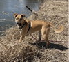 Lainey - Photo 1