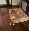 Dakota - Photo 4
