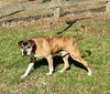 Chance - Photo 2