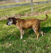 Chance - Photo 5