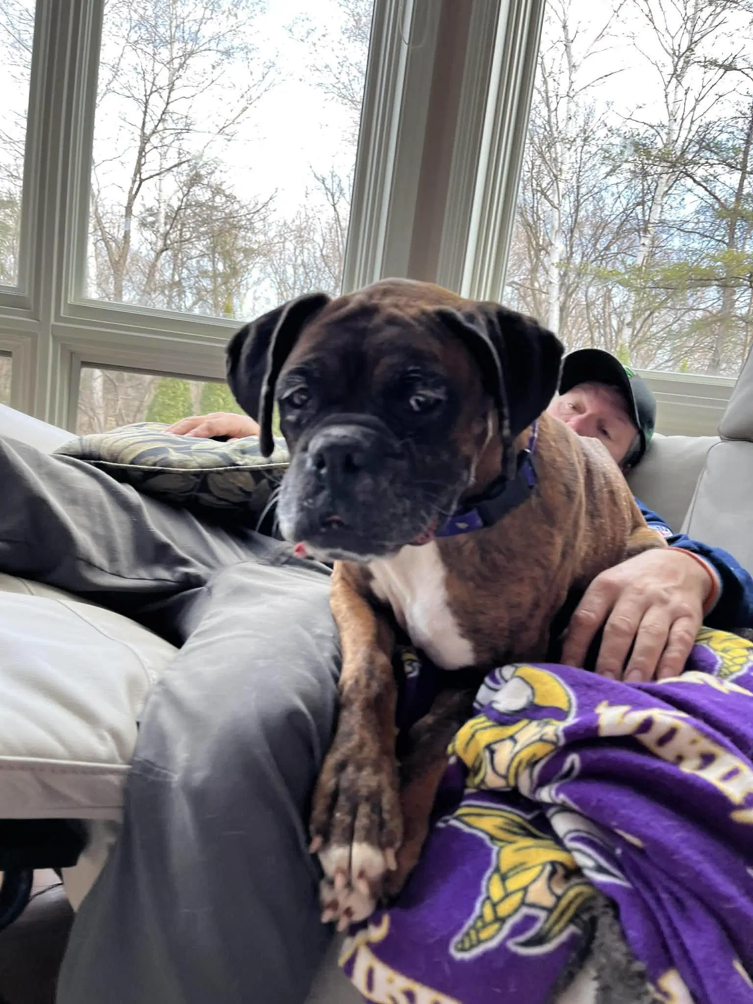 Gemma - Adoption Interest image 3