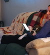 Rocko - ADOPTION PENDING!!