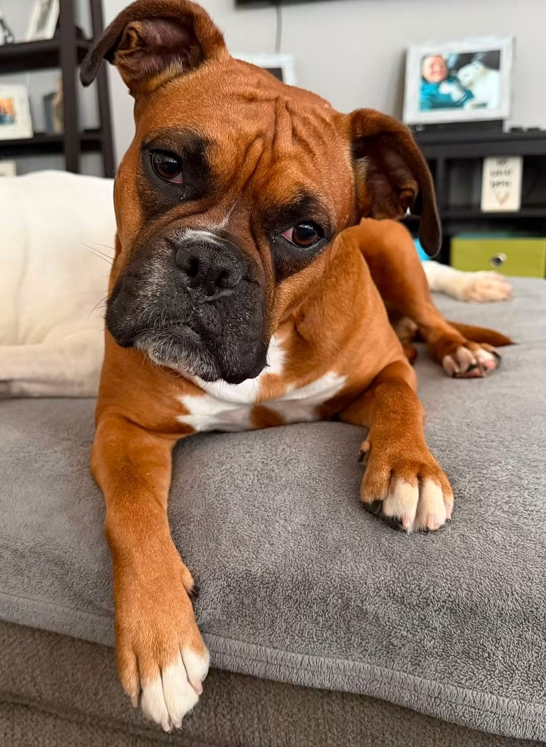 Bailey