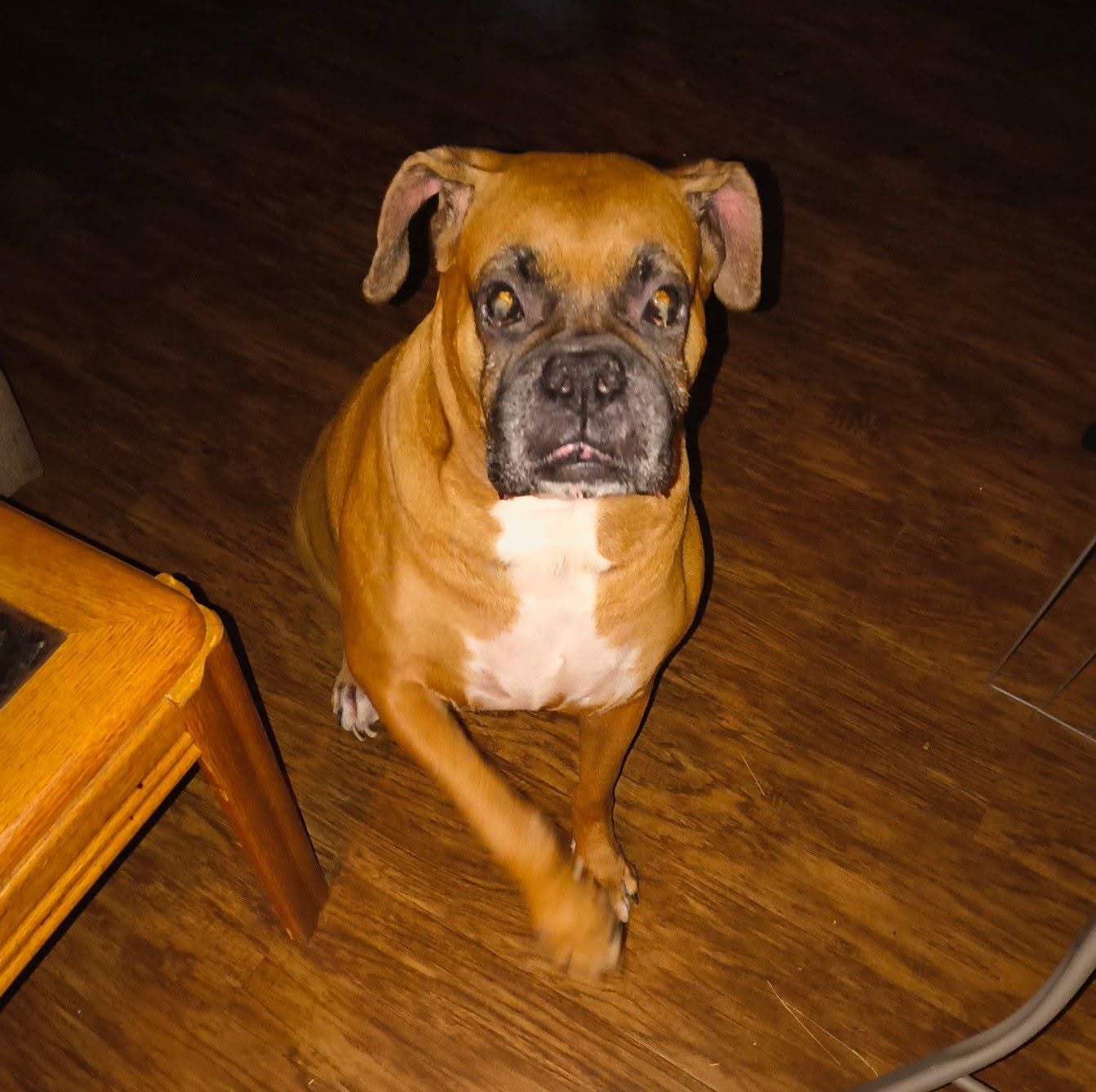 Thumper, photo 11