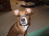 Rusty