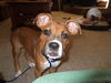 Rusty