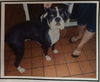 Ruby