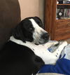 Ryder