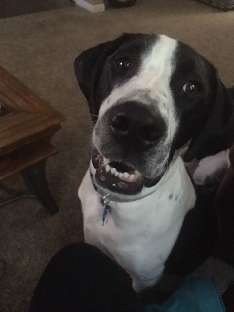 Ryder