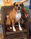 Roxie