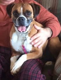 Roxie