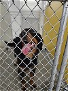 adoptable Dog in temple, tx, TX named A071300