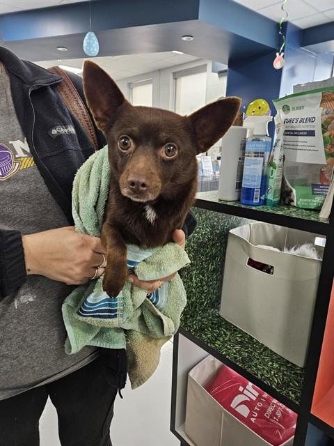 COCO