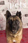 Holly - Photo 1
