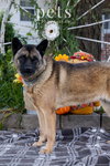 Holly - Photo 3