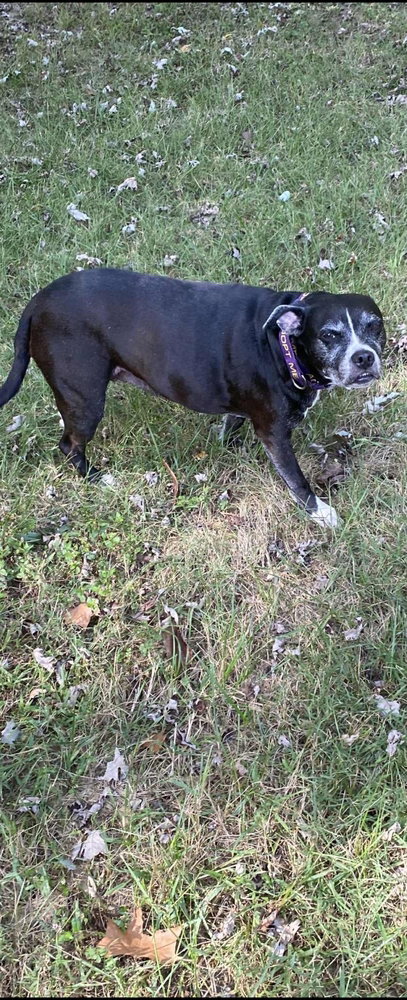 Roxy