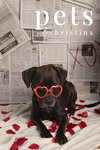 Zuse - Photo 2