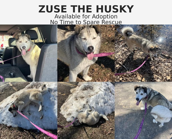 Zeus