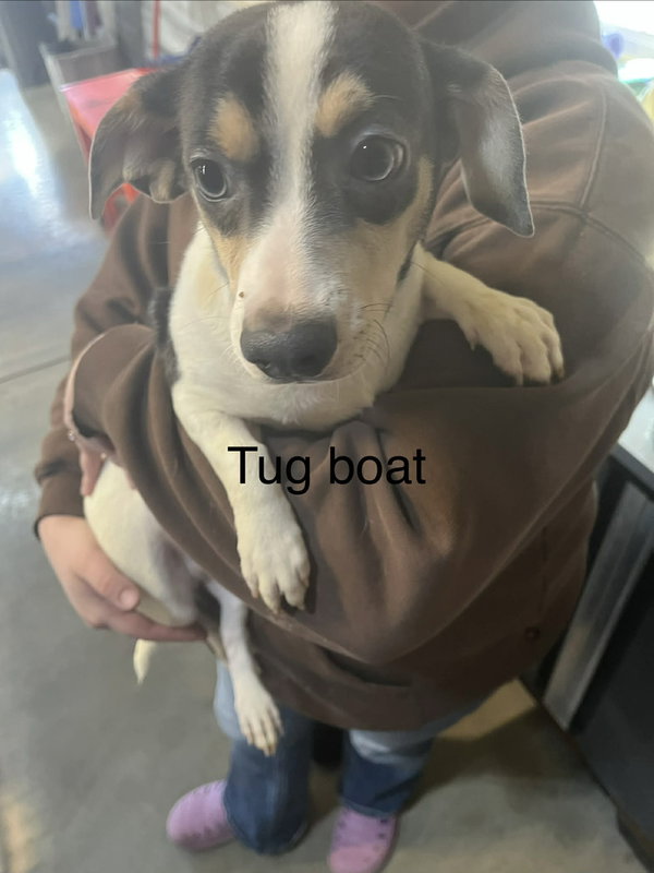 7 Tugboat