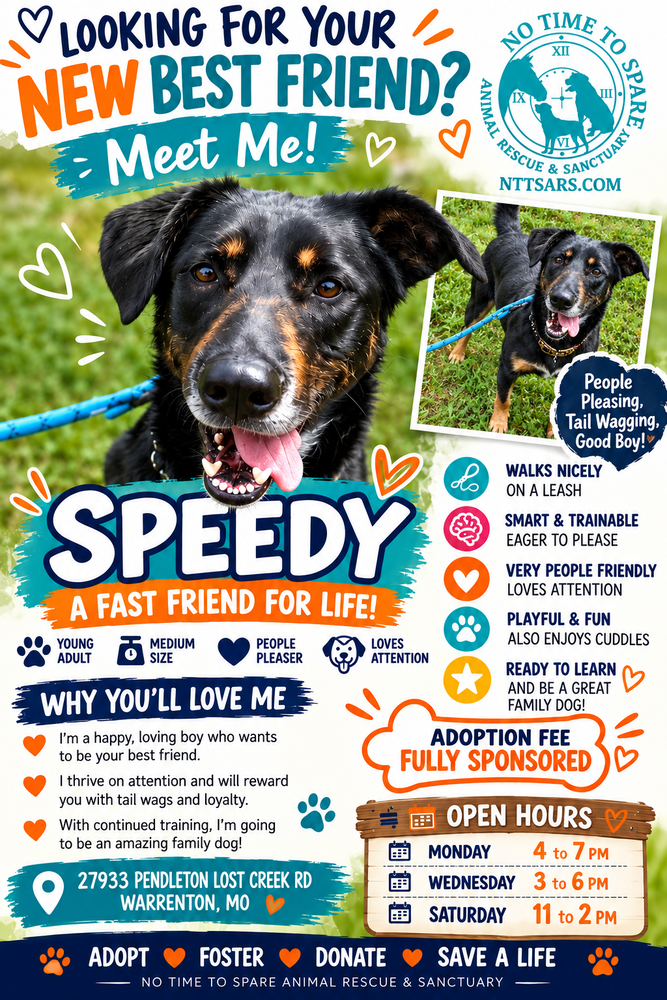 Speedy