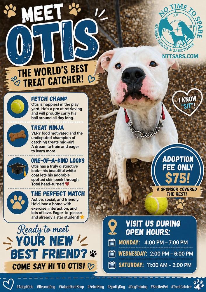 Otis